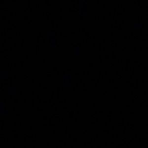 Meet your Posher, Malachi